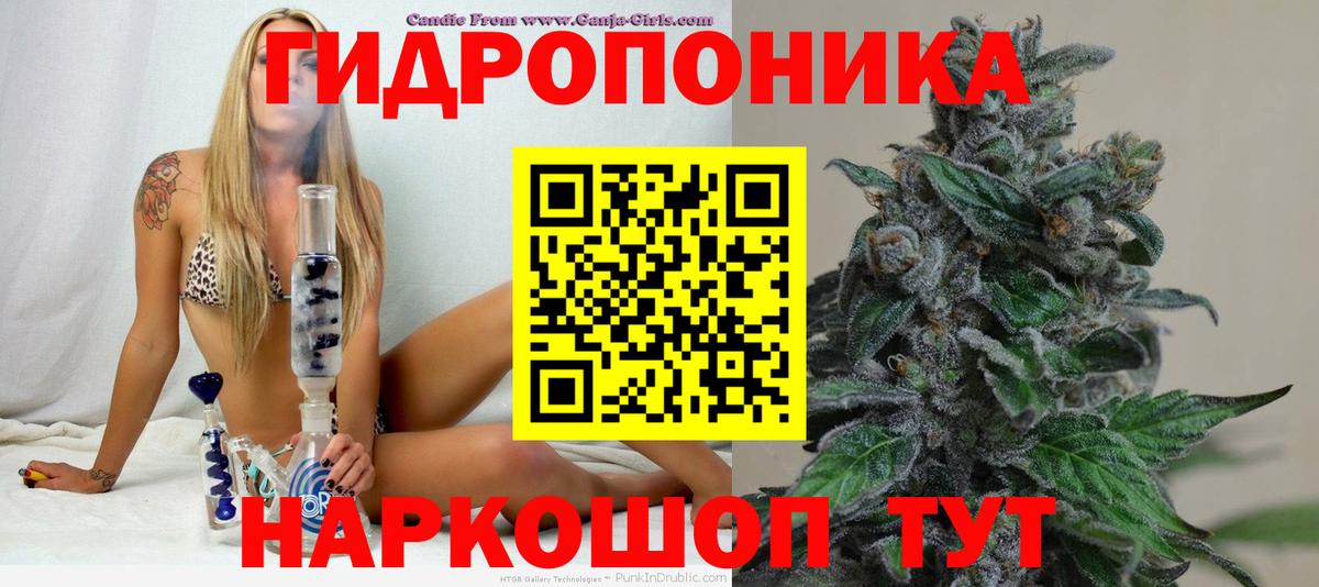Конопля план Всеволожск